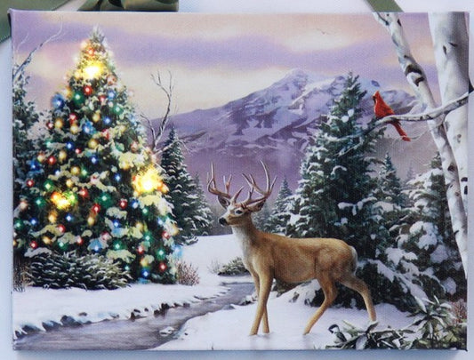 6" x 8" Hanging canvas with led lights